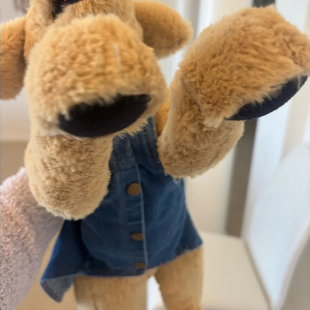 Blue Dog Jacket with Crown Design